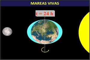 61 diapositivas dinámicas