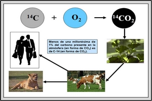 22 diapositivas dinámicas